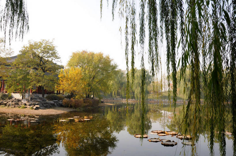 无人,公园,横图,室外,白天,正面,旅游,度假,湖,湖泊,名胜古迹,水,植物,标志建筑,地标,建筑,柳树,叶子,北京,圆明园,中国,亚洲,阴影,波纹,遗迹,光线,影子,亭子,湖面,水流,水面,荷叶,涟漪,首都,古迹,文物,娱乐,建设,古建筑,垂柳,树,树木,蓝色,绿色,倒影,蓝天,水纹,天空,阳光,自然,波浪,湖水,天,享受,休闲,旅游胜地,放松,生长,晴朗,成长,倒映,古文明,东亚,海淀区,万里无云,中华人民共和国,北京市,京,北平,华北地区,水晕,莲叶,倒挂柳,反照,叶,叶片,晴空,晴空万里,垂枝柳,彩图,圆明园遗址,圆明园遗址公园,shsgf1