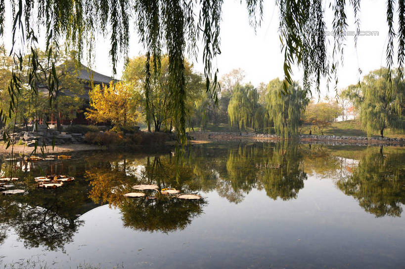 无人,公园,横图,室外,白天,正面,旅游,度假,湖,湖泊,名胜古迹,水,植物,标志建筑,地标,建筑,柳树,叶子,北京,圆明园,中国,亚洲,阴影,波纹,遗迹,光线,影子,亭子,湖面,水流,水面,荷叶,涟漪,首都,古迹,文物,娱乐,建设,古建筑,垂柳,树,树木,蓝色,绿色,倒影,蓝天,水纹,天空,阳光,自然,波浪,湖水,天,享受,休闲,旅游胜地,放松,生长,晴朗,成长,倒映,古文明,东亚,海淀区,万里无云,中华人民共和国,北京市,京,北平,华北地区,水晕,莲叶,倒挂柳,反照,叶,叶片,晴空,晴空万里,垂枝柳,彩图,圆明园遗址,圆明园遗址公园,shsgf1