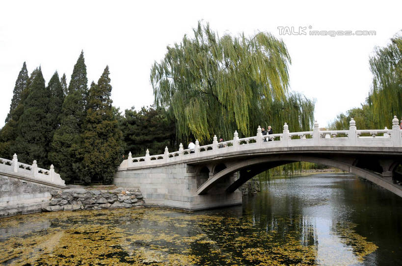 无人,颐和园,宫殿,横图,室外,白天,仰视,旅游,度假,湖,湖泊,石头,名胜古迹,水,植物,标志建筑,地标,建筑,柳树,松树,叶子,北京,中国,亚洲,波纹,遗迹,石子,湖面,水流,水面,桥,荷叶,涟漪,首都,古迹,文物,娱乐,建设,古建筑,石桥,垂柳,拱桥,栈桥,树,树木,绿色,倒影,水纹,天空,自然,波浪,湖水,天,享受,休闲,旅游胜地,放松,拱形,生长,成长,人行桥,石拱桥,倒映,权利,坚定,古文明,东亚,海淀区,中华人民共和国,北京市,京,北平,华北地区,水晕,莲叶,长寿,贞洁,皇家园林,倒挂柳,反照,清漪园,叶,叶片,石块,垂枝柳,彩图,低角度拍摄,shsgf1