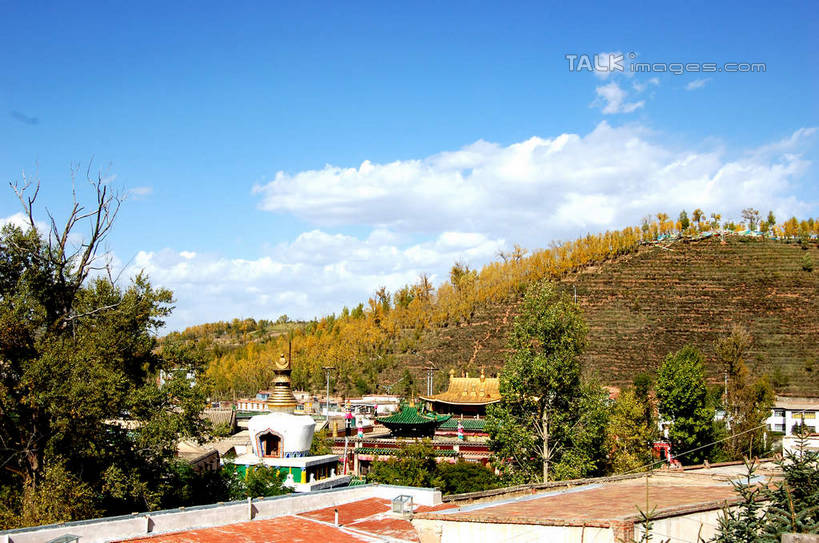 无人,寺庙,横图,室外,白天,正面,旅游,度假,名胜古迹,山,山脉,植物,标志建筑,地标,建筑,中国,亚洲,阴影,节日,遗迹,光线,影子,山峰,云,云朵,山峦,云彩,古迹,文化,文物,娱乐,建设,古建筑,树,树木,蓝色,绿色,白云,蓝天,天空,阳光,自然,庙宇,群山,天,祈祷,享受,休闲,健康,旅游胜地,放松,许愿,宗教,佛教,信仰,生长,晴朗,成长,纪念,祈求,古文明,东亚,青海,青海省,塔尔寺,鲁沙尔镇,西宁,中华人民共和国,省会,西北地区,西宁市,青,释教,县城,湟中,湟中县,平安,晴空,彩图,庙,寺,shsgf1