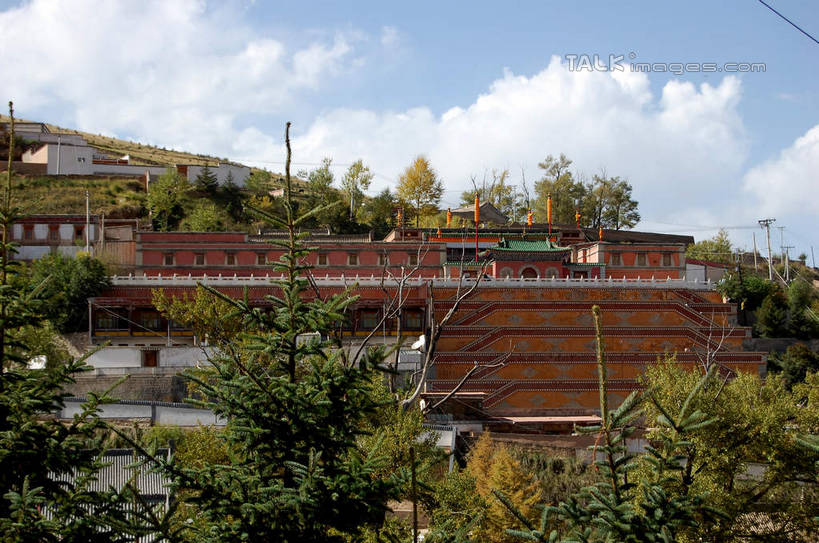 无人,寺庙,横图,室外,白天,正面,旅游,度假,名胜古迹,植物,标志建筑,地标,建筑,中国,亚洲,阴影,节日,遗迹,光线,影子,云,云朵,云彩,古迹,文化,文物,娱乐,建设,古建筑,树,树木,蓝色,绿色,白云,蓝天,天空,阳光,自然,庙宇,天,祈祷,享受,休闲,健康,旅游胜地,放松,许愿,宗教,佛教,信仰,生长,晴朗,成长,纪念,祈求,古文明,东亚,青海,青海省,塔尔寺,鲁沙尔镇,西宁,中华人民共和国,省会,西北地区,西宁市,青,释教,县城,湟中,湟中县,平安,晴空,彩图,庙,寺,shsgf1