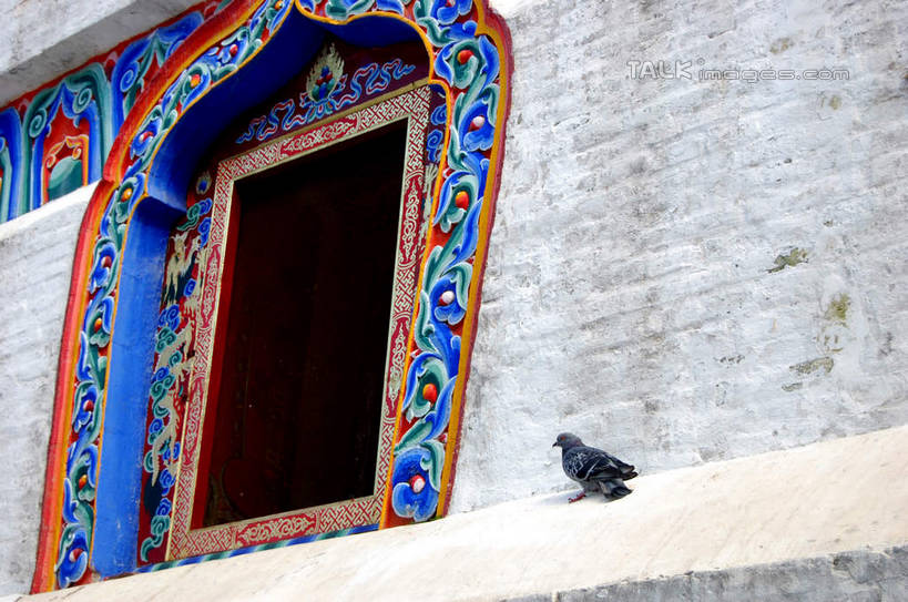 无人,寺庙,站,横图,室外,白天,仰视,旅游,度假,名胜古迹,门,标志建筑,地标,建筑,鸟,中国,亚洲,节日,遗迹,鸟类,墙,古迹,文化,文物,娱乐,建设,古建筑,墙壁,墙面,一只,门框,庙宇,祈祷,站着,享受,休闲,健康,旅游胜地,放松,许愿,宗教,佛教,信仰,纪念,祈求,古文明,东亚,青海,青海省,塔尔寺,鲁沙尔镇,西宁,中华人民共和国,省会,西北地区,西宁市,青,释教,县城,湟中,湟中县,平安,站立,彩图,低角度拍摄,全身,庙,寺,shsgf1