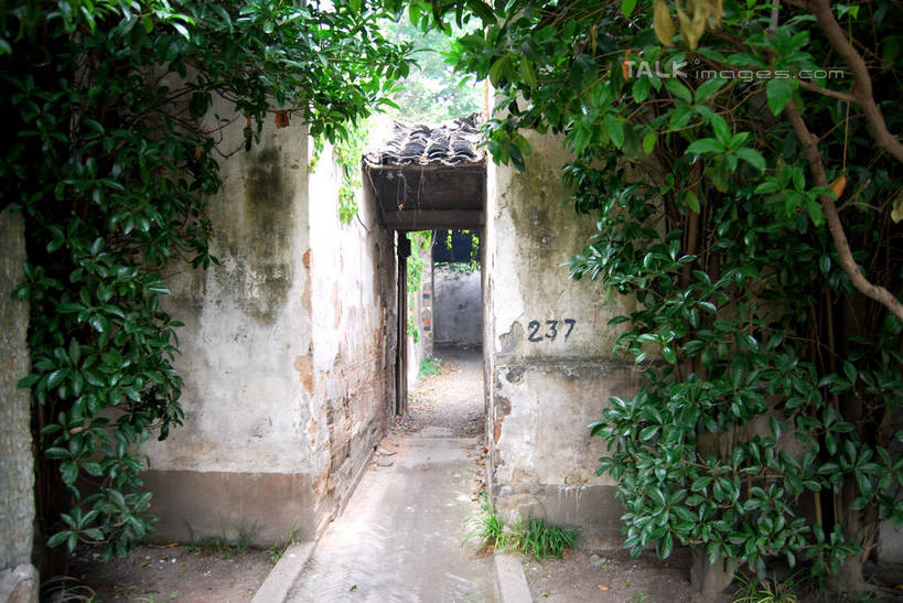 无人,家,横图,室外,白天,正面,旅游,度假,美景,植物,城市风光,城市,建筑,中国,亚洲,房屋,墙,屋子,景观,公寓,常春藤,爬山虎,草药,娱乐,建设,江苏,苏州,洋房,楼房,中药,墙壁,墙面,住宅,树,树木,绿色,自然,享受,休闲,景色,放松,生长,成长,药材,中草药,爬墙虎,东亚,江苏省,平江路,苏州市,中药材,本草,地锦,趴山虎,巴山虎,中华人民共和国,华东地区,苏,彩图,房子,平江,平江区,常青藤,shsgf1