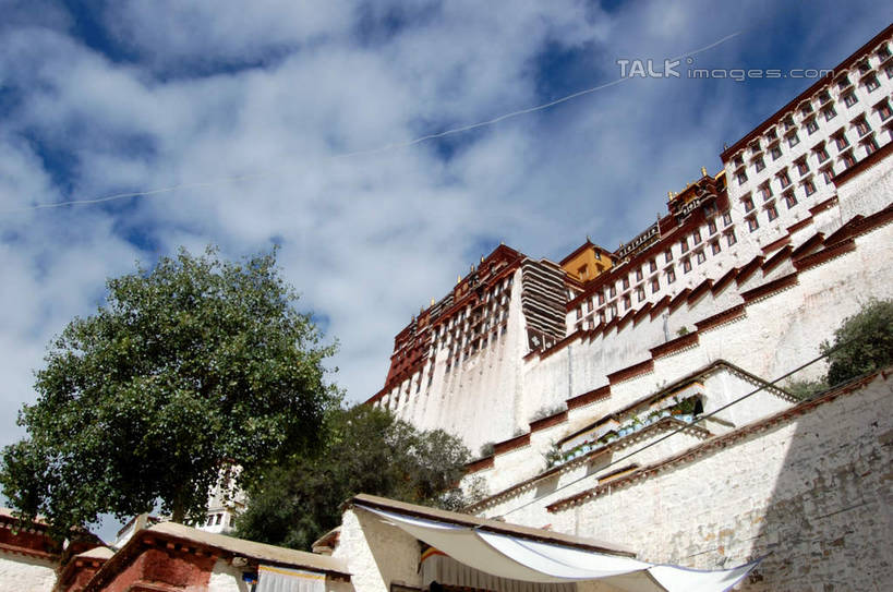 无人,宫殿,横图,室外,白天,仰视,旅游,度假,名胜古迹,植物,标志建筑,地标,建筑,布达拉宫,中国,亚洲,阴影,节日,遗迹,光线,影子,云,云朵,建筑群,云彩,古迹,文化,文物,娱乐,建设,古建筑,拉萨,西藏,树,树木,蓝色,绿色,白云,蓝天,天空,阳光,自然,天,祈祷,享受,休闲,健康,旅游胜地,放松,许愿,宗教,佛教,信仰,生长,晴朗,成长,纪念,祈求,藏,古文明,东亚,西藏自治区,首府,中华人民共和国,西南地区,拉萨市,释教,第二普陀山,平安,晴空,彩图,低角度拍摄,shsgf1