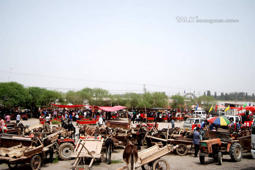 东方人,走,横图,室外,白天,正面,旅游,度假,农业,美景,植物,汽车,马,野生动物,旗帜,中国,亚洲,行人,游客,游人,阴影,服装,光线,影子,景观,许多人,休闲装,黄种人,娱乐,旗子,路人,旅客,车,树,树木,衣服,蓝色,绿色,蓝天,天空,阳光,自然,动物,交通工具,天,一群人,享受,休闲,休闲服,机械,景色,放松,运输,服饰,牲畜,生长,晴朗,成长,自然风光,载具,拖拉机,东亚,新疆,阿克苏,阿克苏市,万里无云,中华人民共和国,旌旗,旗号,新疆维吾尔自治区,西北地区,交通运输,农用机械,过客,男人,男性,年轻男性,年轻女性,女人,女性,亚洲人,晴空,晴空万里,步行,散步,走路,彩图,全身,阿克苏地区,新,shsgf1