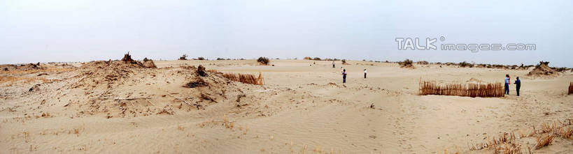 无人,农田,横图,室外,白天,正面,旅游,度假,庄稼,农作物,美景,植物,中国,亚洲,景观,娱乐,树,树木,蓝色,绿色,蓝天,天空,自然,天,享受,休闲,景色,放松,生长,晴朗,成长,自然风光,东亚,新疆,阿克苏,阿克苏市,万里无云,中华人民共和国,新疆维吾尔自治区,西北地区,晴空,晴空万里,彩图,耕地,庄稼田,阿克苏地区,新,shsgf1