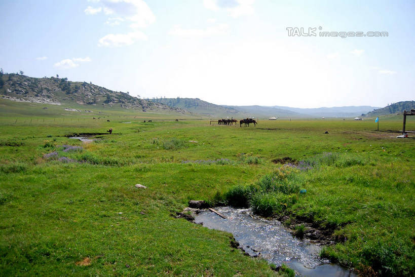 无人,横图,室外,白天,正面,旅游,度假,草地,草坪,美景,山,山脉,植物,喀纳斯,中国,亚洲,阴影,光线,影子,景观,山峰,山峦,娱乐,草,树,树木,蓝色,绿色,蓝天,天空,阳光,自然,群山,天,享受,休闲,景色,放松,生长,晴朗,成长,自然风光,东亚,喀纳斯湖,新疆,阿勒泰地区,布尔津县,伊犁,万里无云,中华人民共和国,新疆维吾尔自治区,西北地区,伊犁哈萨克自治州,晴空,晴空万里,彩图,布尔津,新,shsgf1