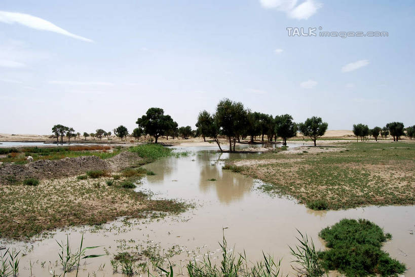 无人,横图,室外,白天,正面,旅游,度假,河流,美景,水,植物,中国,亚洲,阴影,光线,影子,河水,景观,水流,云,云朵,云彩,娱乐,树,树木,蓝色,绿色,白云,倒影,蓝天,天空,阳光,自然,天,享受,休闲,景色,放松,生长,晴朗,成长,倒映,自然风光,东亚,新疆,库尔勒,中华人民共和国,新疆维吾尔自治区,西北地区,巴音郭楞,巴音郭楞蒙古自治州,反照,晴空,彩图,新,shsgf1