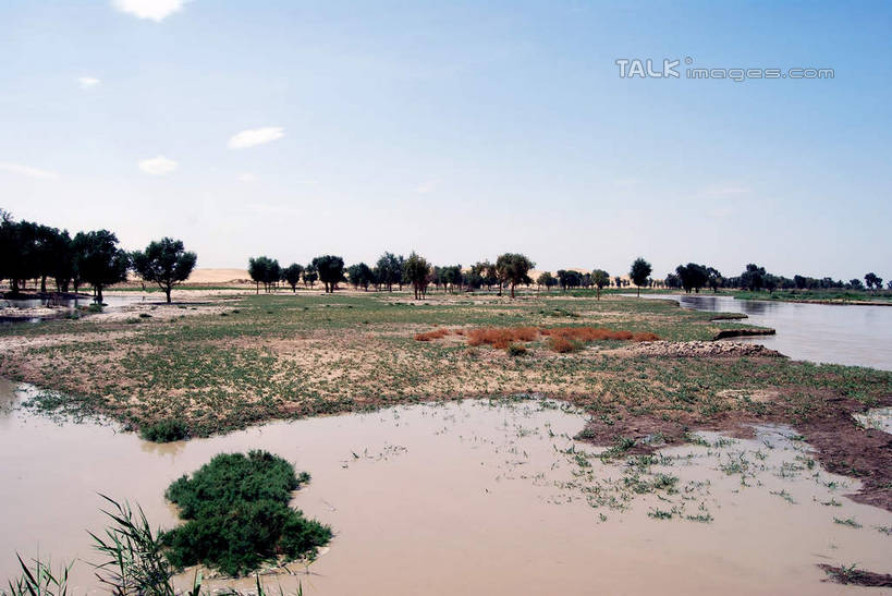 无人,横图,室外,白天,正面,旅游,度假,河流,美景,水,植物,中国,亚洲,阴影,光线,影子,河水,景观,水流,云,云朵,云彩,娱乐,树,树木,蓝色,绿色,白云,倒影,蓝天,天空,阳光,自然,天,享受,休闲,景色,放松,生长,晴朗,成长,倒映,自然风光,东亚,新疆,库尔勒,中华人民共和国,新疆维吾尔自治区,西北地区,巴音郭楞,巴音郭楞蒙古自治州,反照,晴空,彩图,新,shsgf1