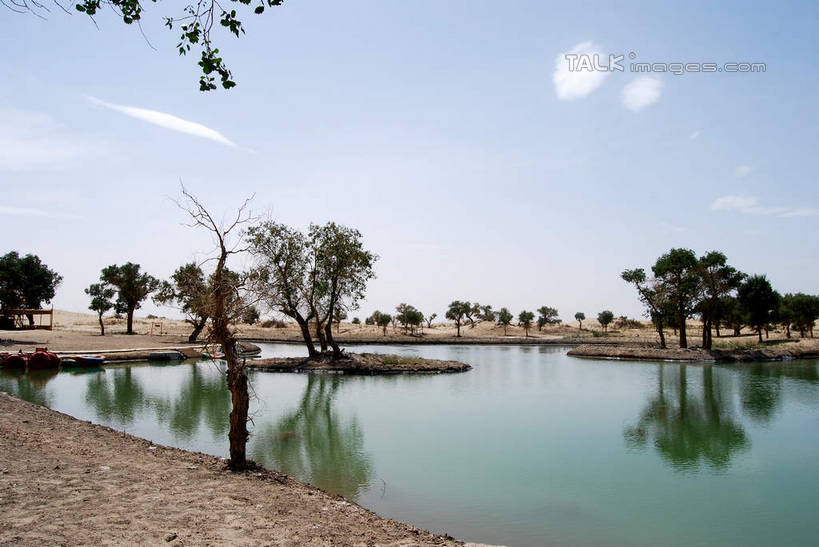 无人,横图,室外,白天,正面,旅游,度假,河流,美景,水,植物,中国,亚洲,阴影,光线,影子,河水,景观,水流,云,云朵,云彩,娱乐,树,树木,蓝色,绿色,白云,倒影,蓝天,天空,阳光,自然,天,享受,休闲,景色,放松,生长,晴朗,成长,倒映,自然风光,东亚,新疆,库尔勒,中华人民共和国,新疆维吾尔自治区,西北地区,巴音郭楞,巴音郭楞蒙古自治州,反照,晴空,彩图,新,shsgf1