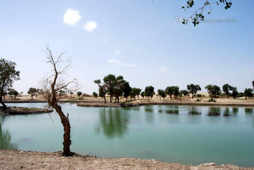 无人,横图,室外,白天,正面,旅游,度假,河流,美景,水,植物,中国,亚洲,阴影,光线,影子,河水,景观,水流,云,云朵,云彩,娱乐,树,树木,蓝色,绿色,白云,倒影,蓝天,天空,阳光,自然,天,享受,休闲,景色,放松,生长,晴朗,成长,倒映,自然风光,东亚,新疆,库尔勒,中华人民共和国,新疆维吾尔自治区,西北地区,巴音郭楞,巴音郭楞蒙古自治州,反照,晴空,彩图,新,shsgf1