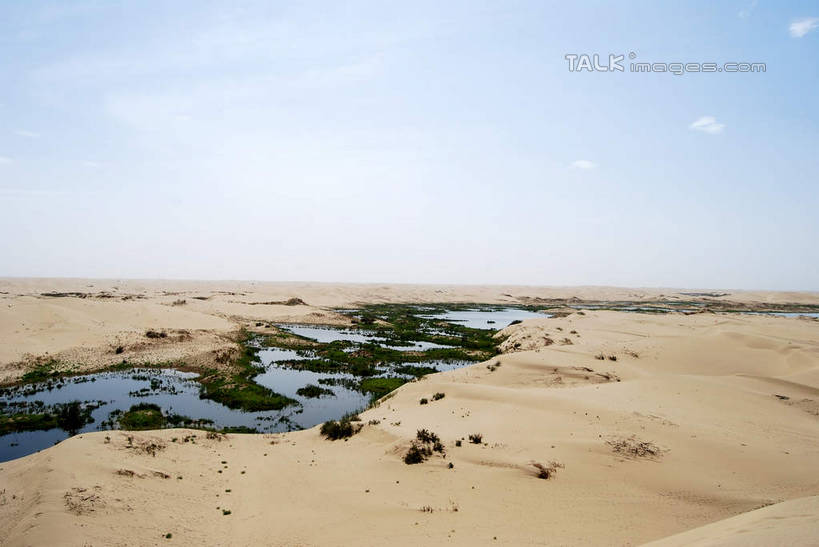无人,横图,室外,白天,正面,旅游,度假,草地,河流,美景,沙漠,水,植物,中国,亚洲,阴影,光线,影子,河水,景观,水流,云,云朵,云彩,娱乐,草,蓝色,绿色,白云,蓝天,天空,阳光,自然,天,享受,休闲,景色,放松,晴朗,自然风光,东亚,新疆,库尔勒,中华人民共和国,新疆维吾尔自治区,西北地区,巴音郭楞,巴音郭楞蒙古自治州,大漠,砂漠,晴空,彩图,新,shsgf1