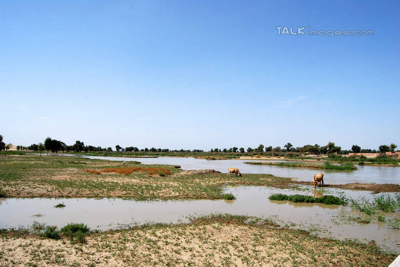 无人,横图,室外,白天,正面,旅游,度假,河流,美景,水,植物,中国,亚洲,阴影,光线,影子,河水,景观,水流,娱乐,树,树木,蓝色,绿色,倒影,蓝天,天空,阳光,自然,天,享受,休闲,景色,放松,生长,晴朗,成长,倒映,自然风光,东亚,新疆,库尔勒,万里无云,中华人民共和国,新疆维吾尔自治区,西北地区,巴音郭楞,巴音郭楞蒙古自治州,反照,晴空,晴空万里,彩图,新,shsgf1