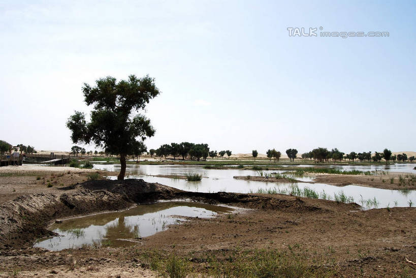 无人,横图,室外,白天,正面,旅游,度假,河流,美景,水,植物,中国,亚洲,阴影,光线,影子,河水,景观,水流,娱乐,树,树木,蓝色,绿色,倒影,蓝天,天空,阳光,自然,天,享受,休闲,景色,放松,生长,晴朗,成长,倒映,自然风光,东亚,新疆,库尔勒,万里无云,中华人民共和国,新疆维吾尔自治区,西北地区,巴音郭楞,巴音郭楞蒙古自治州,反照,晴空,晴空万里,彩图,新,shsgf1