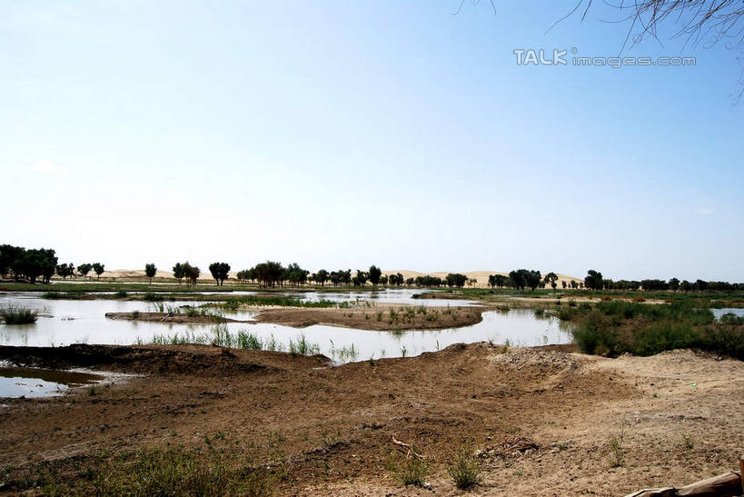 无人,横图,室外,白天,正面,旅游,度假,河流,美景,水,植物,中国,亚洲,阴影,光线,影子,河水,景观,水流,娱乐,树,树木,蓝色,绿色,倒影,蓝天,天空,阳光,自然,天,享受,休闲,景色,放松,生长,晴朗,成长,倒映,自然风光,东亚,新疆,库尔勒,万里无云,中华人民共和国,新疆维吾尔自治区,西北地区,巴音郭楞,巴音郭楞蒙古自治州,反照,晴空,晴空万里,彩图,新,shsgf1