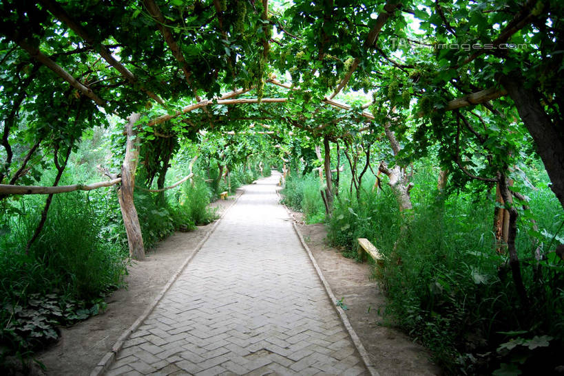 无人,横图,室外,白天,正面,旅游,度假,草地,草坪,美景,名胜古迹,植物,标志建筑,道路,地标,建筑,路,中国,亚洲,遗迹,景观,小路,交通,古迹,文物,娱乐,建设,古建筑,草,树,树木,绿色,自然,享受,休闲,旅游胜地,景色,放松,生长,成长,自然风光,古文明,东亚,吐鲁番,新疆,维吾尔古村,中华人民共和国,新疆维吾尔自治区,西北地区,彩图,火洲,吐鲁番地区,新,shsgf1