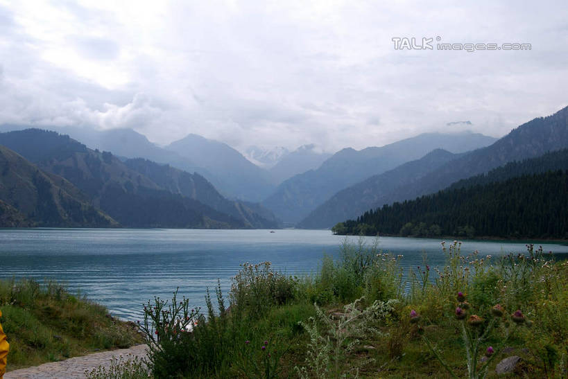 无人,横图,室外,白天,正面,旅游,度假,草地,草坪,湖,湖泊,美景,山,山脉,水,植物,中国,亚洲,波纹,湖面,景观,山峰,水流,水面,涟漪,山峦,娱乐,草,树,树木,绿色,倒影,水纹,天空,自然,波浪,湖水,群山,天,享受,休闲,景色,放松,生长,成长,倒映,自然风光,东亚,天池,新疆,中华人民共和国,水晕,新疆维吾尔自治区,西北地区,昌吉,昌吉回族自治州,反照,新疆天池,彩图,昌吉州,阜康,阜康市,新,shsgf1