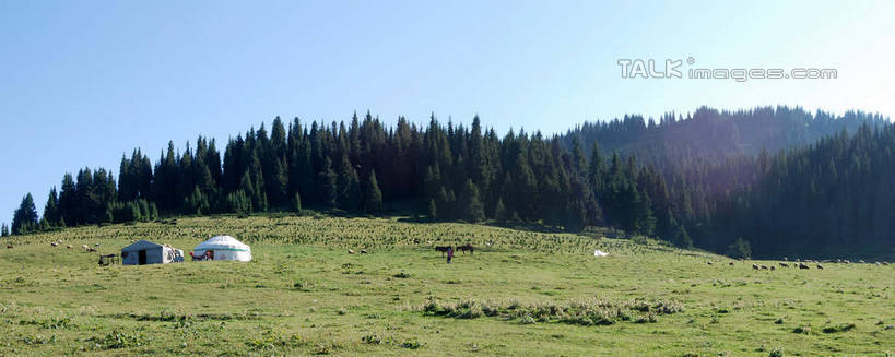 无人,家,横图,室外,白天,正面,旅游,度假,草地,草坪,美景,山,山脉,树林,植物,中国,亚洲,阴影,光线,影子,帐篷,房屋,屋子,景观,山峰,山峦,文化,娱乐,传统,住宅,草,树,树木,蓝色,绿色,蓝天,天空,阳光,自然,群山,天,享受,休闲,景色,便捷,放松,生长,晴朗,成长,便利,自然风光,东亚,蒙古包,新疆,毡房,赛里木湖,万里无云,中华人民共和国,新疆维吾尔自治区,西北地区,博尔塔拉,博尔塔拉蒙古自治州,晴空,晴空万里,彩图,房子,小屋,博乐,博乐市,毡包,穹庐,毡帐,新,shsgf1