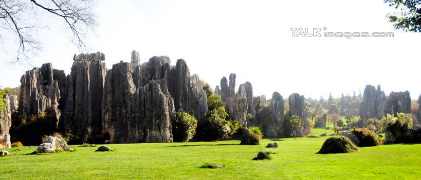 无人,横图,室外,白天,正面,旅游,度假,草地,草坪,石头,美景,山,山脉,石林,植物,昆明,中国,亚洲,阴影,光线,石子,影子,景观,山峰,山峦,娱乐,云南,草,树,树木,绿色,天空,阳光,自然,群山,天,享受,休闲,景色,放松,生长,成长,自然风光,昆明市,东亚,云南省,中华人民共和国,省会,西南地区,滇,石林县,石林彝族自治县,石块,岩石,彩图,shsgf1