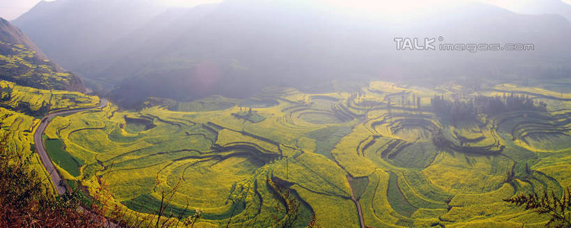 无人,农田,横图,俯视,航拍,室外,白天,旅游,度假,庄稼,梯田,农作物,美景,山,山脉,雾,中国,亚洲,朦胧,模糊,曲折,弯曲,景观,山峰,山峦,娱乐,云南,自然,群山,享受,休闲,景色,放松,蜿蜒,迷雾,鸟瞰,自然风光,东亚,罗平,云南省,曲靖市,曲靖,罗平县,中华人民共和国,西南地区,滇,大雾,彩图,高角度拍摄,耕地,庄稼田,shsgf1