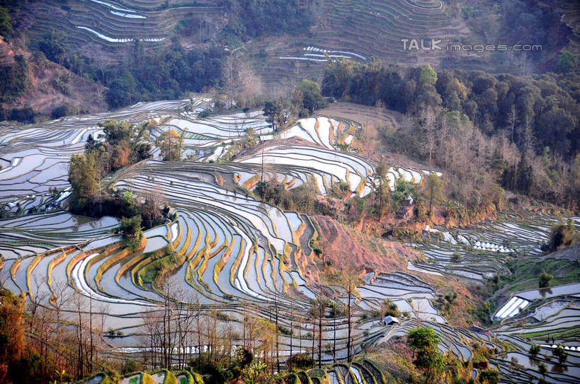 无人,农田,横图,俯视,航拍,室外,白天,旅游,度假,庄稼,梯田,农作物,美景,山,山脉,植物,中国,亚洲,曲折,弯曲,景观,山峰,山峦,娱乐,云南,树,树木,绿色,自然,群山,享受,休闲,景色,放松,蜿蜒,生长,成长,鸟瞰,自然风光,东亚,元阳,云南省,中华人民共和国,西南地区,滇,红河,红河州,红河哈尼族彝族自治州,元阳县,彩图,高角度拍摄,耕地,庄稼田,老虎嘴,shsgf1