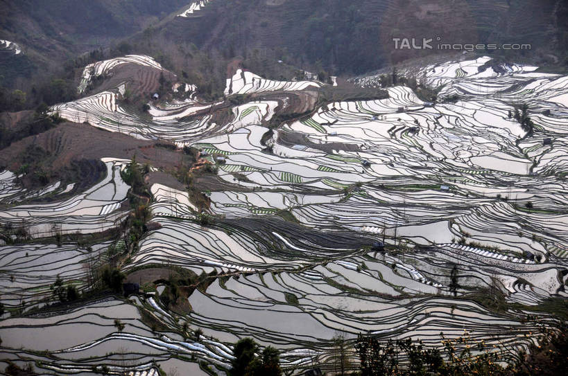 无人,农田,横图,俯视,航拍,室外,白天,旅游,度假,庄稼,梯田,农作物,美景,山,山脉,植物,中国,亚洲,曲折,弯曲,景观,山峰,山峦,娱乐,云南,树,树木,绿色,自然,群山,享受,休闲,景色,放松,蜿蜒,生长,成长,鸟瞰,自然风光,东亚,元阳,云南省,中华人民共和国,西南地区,滇,红河,红河州,红河哈尼族彝族自治州,元阳县,彩图,高角度拍摄,耕地,庄稼田,老虎嘴,shsgf1
