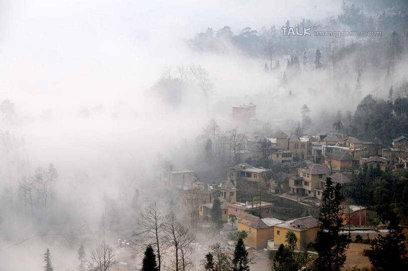 无人,家,农田,横图,俯视,航拍,室外,白天,旅游,度假,庄稼,梯田,农作物,美景,山,山脉,植物,雾,中国,亚洲,朦胧,模糊,曲折,弯曲,房屋,屋子,景观,山峰,山峦,娱乐,楼房,云南,住宅,树,树木,绿色,自然,群山,享受,休闲,景色,放松,蜿蜒,生长,成长,迷雾,鸟瞰,自然风光,东亚,元阳,云南省,多依树村,中华人民共和国,西南地区,滇,红河,红河州,红河哈尼族彝族自治州,元阳县,大雾,彩图,高角度拍摄,耕地,庄稼田,房子,胜村,shsgf1