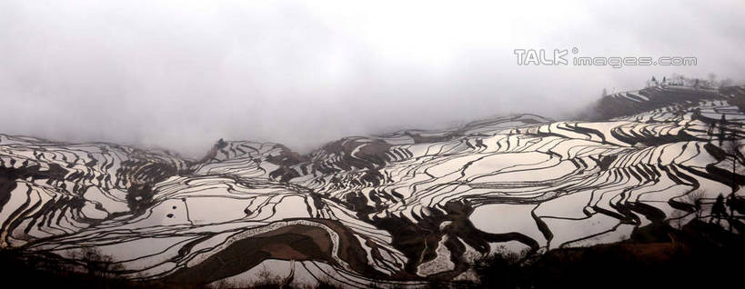 无人,农田,横图,俯视,航拍,室外,白天,旅游,度假,庄稼,梯田,农作物,美景,山,山脉,植物,雾,中国,亚洲,朦胧,模糊,曲折,弯曲,景观,山峰,山峦,娱乐,云南,树,树木,绿色,自然,群山,享受,休闲,景色,放松,蜿蜒,生长,成长,迷雾,鸟瞰,自然风光,东亚,元阳,云南省,多依树村,中华人民共和国,西南地区,滇,红河,红河州,红河哈尼族彝族自治州,元阳县,大雾,彩图,高角度拍摄,耕地,庄稼田,胜村,shsgf1