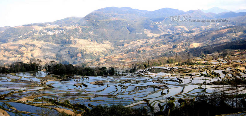 无人,农田,横图,俯视,航拍,室外,白天,旅游,度假,庄稼,梯田,农作物,美景,山,山脉,植物,中国,亚洲,阴影,曲折,弯曲,光线,影子,景观,山峰,山峦,娱乐,云南,树,树木,绿色,天空,阳光,自然,群山,天,享受,休闲,景色,放松,蜿蜒,生长,成长,鸟瞰,自然风光,东亚,元阳,云南省,箐口村,中华人民共和国,西南地区,滇,红河,红河州,红河哈尼族彝族自治州,元阳县,彩图,高角度拍摄,耕地,庄稼田,箐口,新街镇,shsgf1