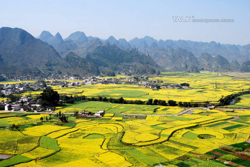无人,家,农田,横图,俯视,航拍,室外,白天,旅游,度假,庄稼,农作物,草地,草坪,美景,山,山脉,植物,中国,亚洲,阴影,光线,影子,房屋,屋子,景观,山峰,山峦,娱乐,楼房,住宅,草,树,树木,蓝色,绿色,蓝天,天空,阳光,自然,群山,天,享受,休闲,景色,放松,生长,晴朗,成长,鸟瞰,自然风光,东亚,贵州,贵州省,万峰林,兴义市,马岭河峡谷,万里无云,中华人民共和国,黔,西南地区,黔西南,黔西南州,黔西南布依族苗族自治州,晴空,晴空万里,彩图,高角度拍摄,耕地,庄稼田,房子,马岭河大峡谷,兴义,shsgf1