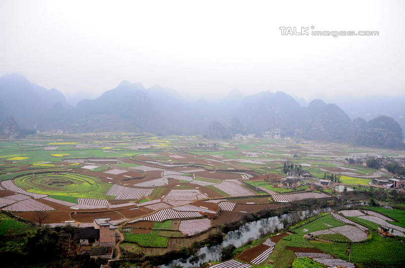 无人,家,农田,横图,俯视,航拍,室外,白天,旅游,度假,庄稼,农作物,草地,草坪,美景,山,山脉,植物,雾,中国,亚洲,朦胧,模糊,房屋,屋子,景观,山峰,山峦,娱乐,楼房,住宅,草,树,树木,绿色,天空,自然,群山,天,享受,休闲,景色,放松,生长,成长,迷雾,鸟瞰,自然风光,东亚,贵州,贵州省,万峰林,兴义市,马岭河峡谷,中华人民共和国,黔,西南地区,黔西南,黔西南州,黔西南布依族苗族自治州,大雾,彩图,高角度拍摄,耕地,庄稼田,房子,马岭河大峡谷,兴义,shsgf1