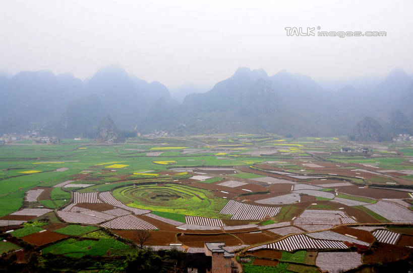 无人,家,农田,横图,俯视,航拍,室外,白天,旅游,度假,庄稼,农作物,草地,草坪,美景,山,山脉,植物,雾,中国,亚洲,朦胧,模糊,房屋,屋子,景观,山峰,山峦,娱乐,楼房,住宅,草,树,树木,绿色,天空,自然,群山,天,享受,休闲,景色,放松,生长,成长,迷雾,鸟瞰,自然风光,东亚,贵州,贵州省,万峰林,兴义市,马岭河峡谷,中华人民共和国,黔,西南地区,黔西南,黔西南州,黔西南布依族苗族自治州,大雾,彩图,高角度拍摄,耕地,庄稼田,房子,马岭河大峡谷,兴义,shsgf1