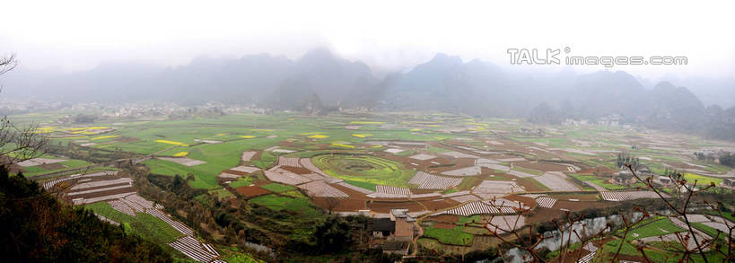 无人,家,农田,横图,俯视,航拍,室外,白天,旅游,度假,庄稼,农作物,草地,草坪,美景,山,山脉,植物,雾,中国,亚洲,朦胧,模糊,房屋,屋子,景观,山峰,山峦,娱乐,楼房,住宅,草,树,树木,绿色,天空,自然,群山,天,享受,休闲,景色,放松,生长,成长,迷雾,鸟瞰,自然风光,东亚,贵州,贵州省,万峰林,兴义市,马岭河峡谷,中华人民共和国,黔,西南地区,黔西南,黔西南州,黔西南布依族苗族自治州,大雾,彩图,高角度拍摄,耕地,庄稼田,房子,马岭河大峡谷,兴义,shsgf1