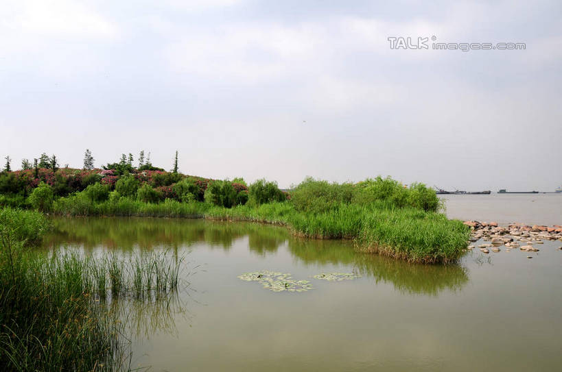 无人,公园,横图,室外,白天,正面,旅游,度假,草地,草坪,河流,美景,水,植物,上海,中国,亚洲,波纹,河水,景观,水流,云,云朵,涟漪,云彩,娱乐,草,树,树木,蓝色,绿色,白云,倒影,蓝天,水纹,天空,自然,波浪,天,享受,休闲,景色,放松,生长,晴朗,成长,申,倒映,自然风光,宝山区,东亚,上海市,炮台湾湿地森林公园,中华人民共和国,沪,华东地区,水晕,反照,晴空,彩图,吴淞炮台湾湿地森林公园,shsgf1