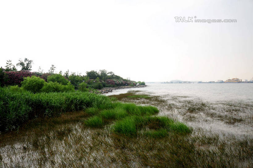 无人,公园,横图,室外,白天,正面,旅游,度假,草地,草坪,河流,美景,水,植物,上海,中国,亚洲,河水,景观,水流,娱乐,草,绿色,天空,自然,天,享受,休闲,景色,放松,申,自然风光,宝山区,东亚,上海市,炮台湾湿地森林公园,中华人民共和国,沪,华东地区,彩图,吴淞炮台湾湿地森林公园,shsgf1