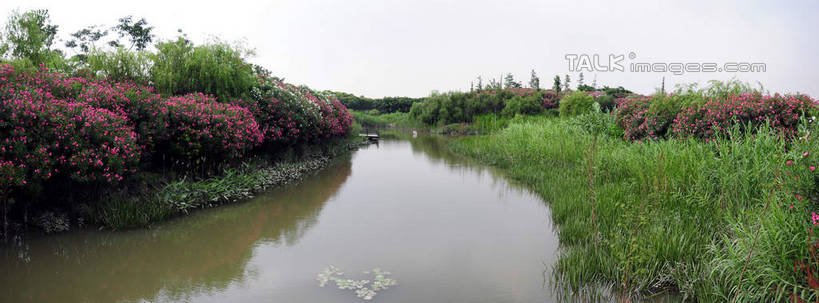 无人,公园,横图,室外,白天,正面,旅游,度假,草地,草坪,河流,美景,水,植物,上海,中国,亚洲,阴影,波纹,盛开,光线,影子,河水,景观,水流,涟漪,花蕾,娱乐,草,花,花瓣,花朵,鲜花,树,树木,绿色,倒影,水纹,天空,阳光,自然,波浪,天,花苞,花蕊,享受,休闲,景色,放松,生长,成长,申,倒映,自然风光,宝山区,东亚,上海市,炮台湾湿地森林公园,中华人民共和国,沪,华东地区,水晕,反照,彩图,吴淞炮台湾湿地森林公园,shsgf1