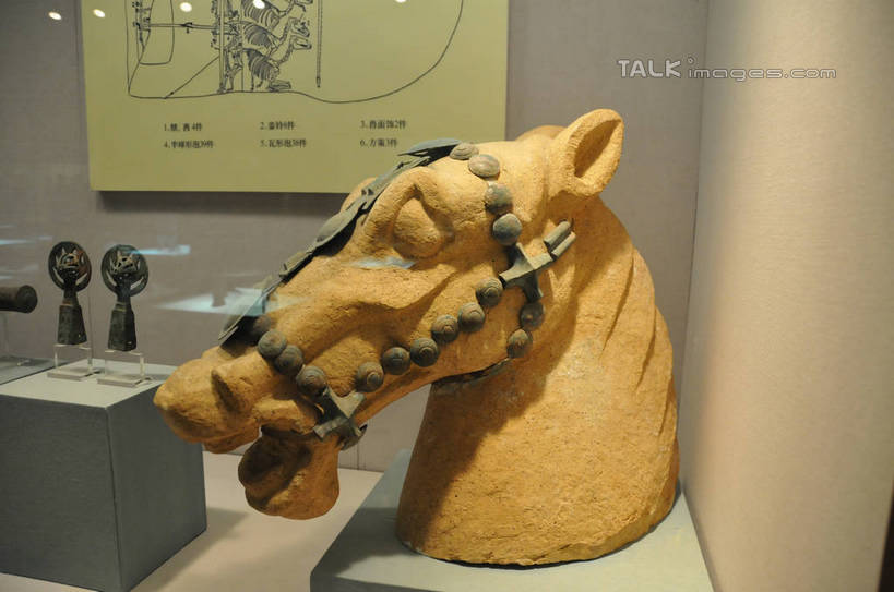 脸,头,脸颊,无人,博物馆,横图,室内,白天,正面,度假,美景,城市风光,城市,马,野生动物,雕塑,中国,亚洲,研究,艺术,装饰,雕刻,雕像,景观,教育,娱乐,动物,工艺品,张嘴,享受,休闲,景色,放松,运输,牲畜,纪念,展览,美术,欣赏,主题,陈列,张大嘴巴,东亚,甘肃,甘肃省,中华人民共和国,省会,功能,美学,西北地区,兰州,兰州市,甘,典藏,兰州市博物馆,头部,脸部,脸蛋,面部,张开嘴,彩图,shsgf1