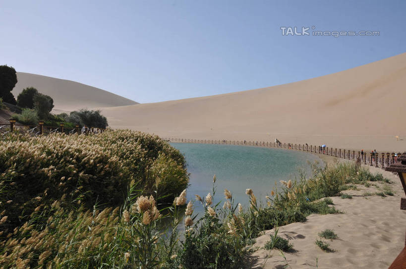无人,横图,室外,白天,正面,旅游,度假,草地,草坪,美景,沙漠,植物,敦煌,中国,亚洲,阴影,光线,沙子,影子,池塘,景观,水池,沙丘,娱乐,草,树,树木,蓝色,绿色,蓝天,天空,阳光,自然,天,享受,休闲,景色,放松,生长,晴朗,成长,自然风光,东亚,甘肃,甘肃省,万里无云,中华人民共和国,西北地区,甘,酒泉,酒泉市,敦煌鸣沙山,大漠,砂漠,晴空,晴空万里,彩图,shsgf1
