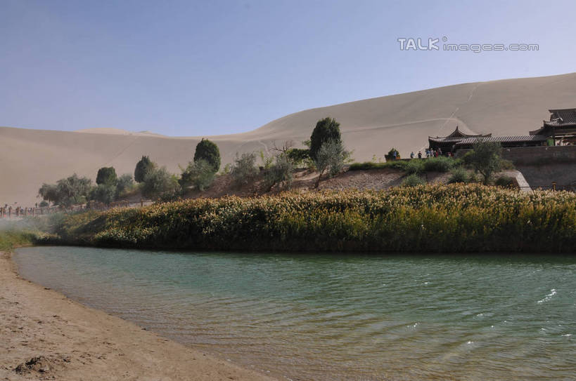 无人,横图,室外,白天,正面,旅游,度假,草地,草坪,美景,沙漠,植物,敦煌,中国,亚洲,阴影,光线,沙子,影子,楼,池塘,景观,水池,沙丘,娱乐,草,树,树木,蓝色,绿色,蓝天,天空,阳光,自然,天,享受,休闲,景色,放松,生长,晴朗,成长,自然风光,东亚,甘肃,甘肃省,万里无云,中华人民共和国,西北地区,甘,酒泉,酒泉市,敦煌鸣沙山,大漠,砂漠,晴空,晴空万里,彩图,shsgf1