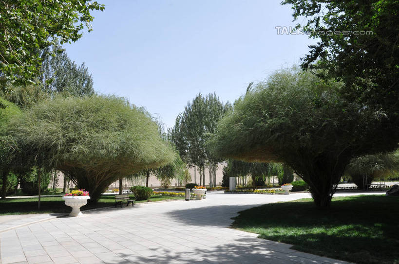 无人,横图,室外,白天,正面,旅游,度假,草地,草坪,花海,花圃,美景,植物,道路,路,叶子,敦煌,中国,亚洲,阴影,盛开,光线,影子,景观,小路,交通,花蕾,娱乐,草,花,花瓣,花朵,花卉,鲜花,树,树木,蓝色,绿色,蓝天,天空,阳光,自然,花丛,花束,花田,天,花苞,花蕊,享受,休闲,景色,放松,生长,晴朗,成长,自然风光,东亚,甘肃,甘肃省,莫高窟,万里无云,中华人民共和国,西北地区,甘,酒泉,酒泉市,千佛洞,晴空,晴空万里,彩图,shsgf1