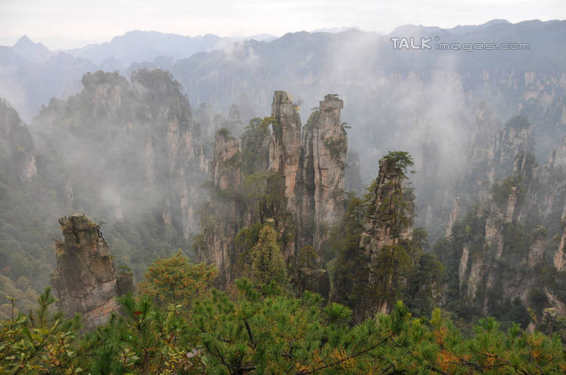 无人,横图,俯视,室外,白天,旅游,度假,石头,美景,森林,山,山脉,树林,植物,雾,张家界,中国,亚洲,阴影,朦胧,模糊,光线,石子,影子,景观,山顶,山峰,山峦,娱乐,树,树木,绿色,阳光,自然,群山,享受,休闲,景色,放松,生长,成长,迷雾,自然风光,东亚,沉积岩,湖南,湖南省,天子山,中华人民共和国,华中地区,湘,张家界市,颠峰,极峰,水成岩,武陵源区,石块,岩石,大雾,彩图,高角度拍摄,shsgf1