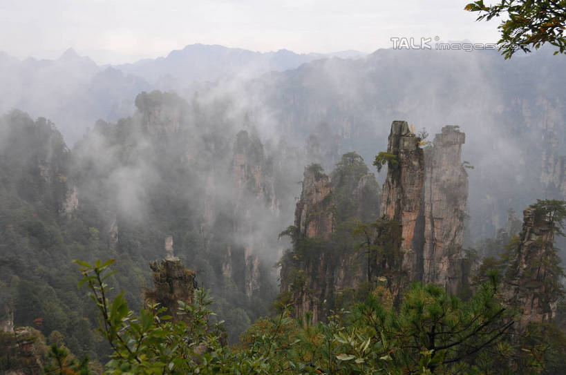 无人,横图,俯视,室外,白天,旅游,度假,石头,美景,森林,山,山脉,树林,植物,雾,张家界,中国,亚洲,阴影,朦胧,模糊,光线,石子,影子,景观,山顶,山峰,山峦,娱乐,树,树木,绿色,阳光,自然,群山,享受,休闲,景色,放松,生长,成长,迷雾,自然风光,东亚,沉积岩,湖南,湖南省,天子山,中华人民共和国,华中地区,湘,张家界市,颠峰,极峰,水成岩,武陵源区,石块,岩石,大雾,彩图,高角度拍摄,shsgf1