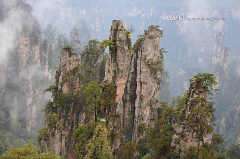无人,横图,俯视,室外,白天,旅游,度假,草地,草坪,石头,美景,山,山脉,植物,雾,张家界,中国,亚洲,一排,许多,阴影,朦胧,模糊,整齐,光线,石子,影子,景观,山峰,山峦,很多,娱乐,草,树,树木,排列,绿色,阳光,自然,群山,享受,休闲,景色,放松,生长,成长,迷雾,队列,自然风光,东亚,湖南,湖南省,天子山,中华人民共和国,华中地区,湘,张家界市,武陵源区,石块,岩石,大雾,彩图,高角度拍摄,shsgf1