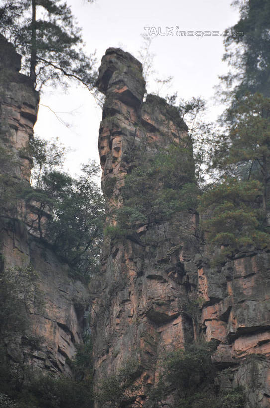 无人,竖图,室外,白天,仰视,旅游,度假,草地,草坪,石头,美景,植物,张家界,中国,亚洲,阴影,光线,石子,影子,景观,娱乐,草,树,树木,蓝色,绿色,蓝天,天空,阳光,自然,天,享受,休闲,景色,放松,生长,晴朗,成长,自然风光,东亚,湖南,湖南省,万里无云,中华人民共和国,华中地区,湘,张家界市,石块,岩石,晴空,晴空万里,彩图,低角度拍摄,shsgf1