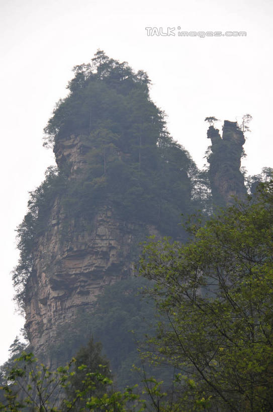 无人,竖图,室外,白天,仰视,旅游,度假,草地,草坪,石头,美景,植物,张家界,中国,亚洲,阴影,光线,石子,影子,景观,娱乐,草,树,树木,蓝色,绿色,蓝天,天空,阳光,自然,天,享受,休闲,景色,放松,生长,晴朗,成长,自然风光,东亚,湖南,湖南省,万里无云,中华人民共和国,华中地区,湘,张家界市,石块,岩石,晴空,晴空万里,彩图,低角度拍摄,shsgf1