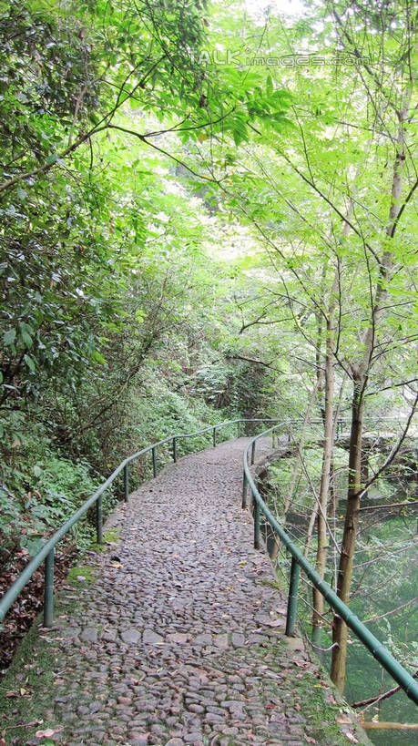 无人,栏杆,竖图,室外,白天,正面,旅游,度假,草地,草坪,美景,山,山脉,树林,植物,道路,路,中国,亚洲,阴影,光线,影子,景观,山峰,围栏,小路,交通,山峦,娱乐,浙江,护栏,草,树,树木,浙江省,绿色,阳光,自然,群山,享受,休闲,五泄,小雁荡,诸暨市,景色,放松,生长,成长,自然风光,东亚,绍兴,中华人民共和国,华东地区,浙,绍兴市,彩图,五泄风景区,shslj1