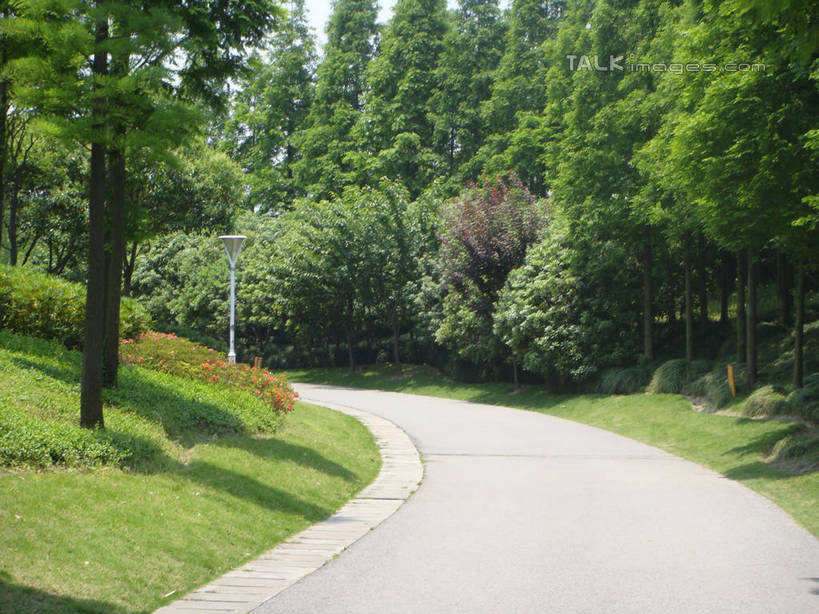 无人,公园,横图,室外,白天,仰视,旅游,度假,草地,草坪,美景,树林,植物,道路,路,上海,中国,亚洲,阴影,曲折,弯曲,光线,影子,景观,小路,交通,娱乐,草,树,树木,蓝色,绿色,蓝天,天空,阳光,自然,天,享受,休闲,景色,放松,大宁灵石公园,蜿蜒,生长,晴朗,成长,申,自然风光,东亚,上海市,万里无云,中华人民共和国,沪,华东地区,闸北区,晴空,晴空万里,彩图,低角度拍摄,广中西路,shslj1