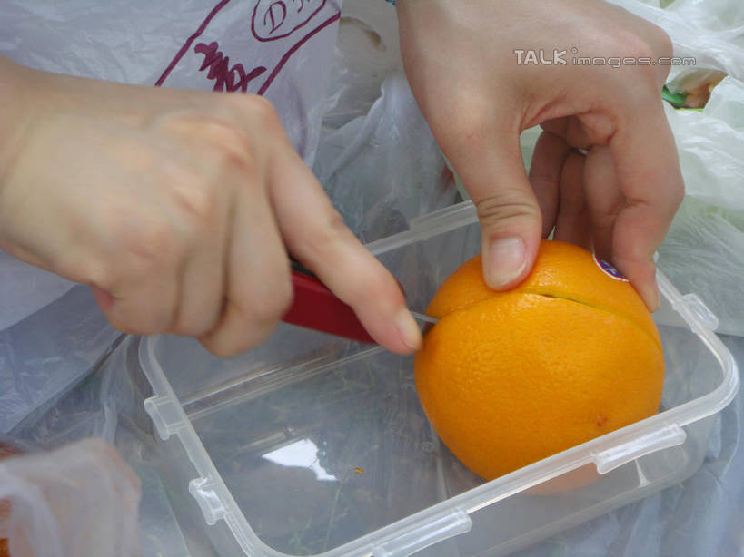 东方人,手,一个人,横图,俯视,室外,特写,白天,袋子,水果,金属制品,亚洲,双手,仅一个年轻女性,仅一个女性,仅一个人,一把,切开,握,阴影,新鲜,光线,金属,标志,工具,文字,影子,字符,塑料,生食,食品,果实,刀具,黄种人,标识,盒子,食物,阳光,容器,塑料制品,刀,切,手部,汉字,握着,有机食品,绿色食品,水果刀,储藏,甜橙,储存,中文,剖面,塑封,切面,国文,华文,年轻女性,女人,女性,亚洲人,橙子,橙,半身,彩图,高角度拍摄,鹄壳,黄橙,黄果,金橙,金环,金球,糖橙,贮存,密封袋,塑封袋,shslj1