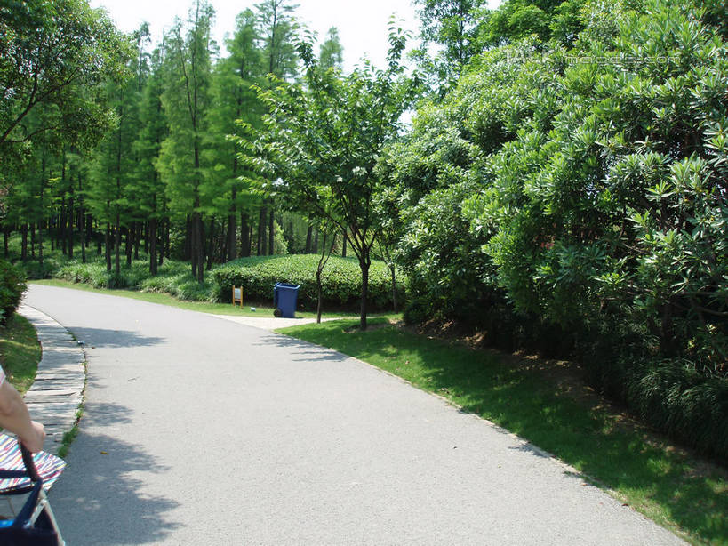 无人,公园,横图,室外,白天,正面,旅游,度假,草地,草坪,美景,树林,植物,道路,路,上海,中国,亚洲,阴影,光线,影子,景观,小路,交通,娱乐,草,树,树木,蓝色,绿色,蓝天,天空,阳光,自然,天,享受,休闲,景色,放松,大宁灵石公园,生长,晴朗,成长,申,自然风光,东亚,上海市,万里无云,中华人民共和国,沪,华东地区,闸北区,晴空,晴空万里,彩图,广中西路,shslj1