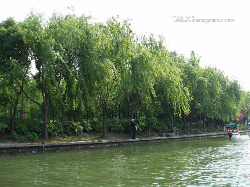 无人,公园,横图,室外,白天,正面,旅游,度假,草地,草坪,湖,湖泊,美景,树林,水,植物,上海,中国,亚洲,阴影,波纹,光线,影子,湖面,景观,水流,水面,涟漪,娱乐,草,树,树木,蓝色,绿色,蓝天,水纹,天空,阳光,自然,波浪,湖水,天,享受,休闲,景色,放松,大宁灵石公园,生长,晴朗,成长,申,自然风光,东亚,上海市,万里无云,中华人民共和国,沪,华东地区,水晕,闸北区,晴空,晴空万里,彩图,广中西路,shslj1